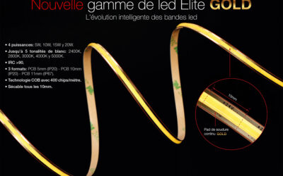 LUZ NEGRA – ELITE GOLD